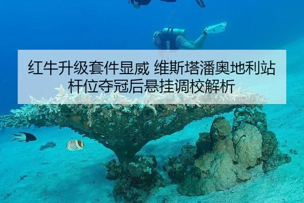 红牛升级套件显威 维斯塔潘奥地利站杆位夺冠后悬挂调校解析